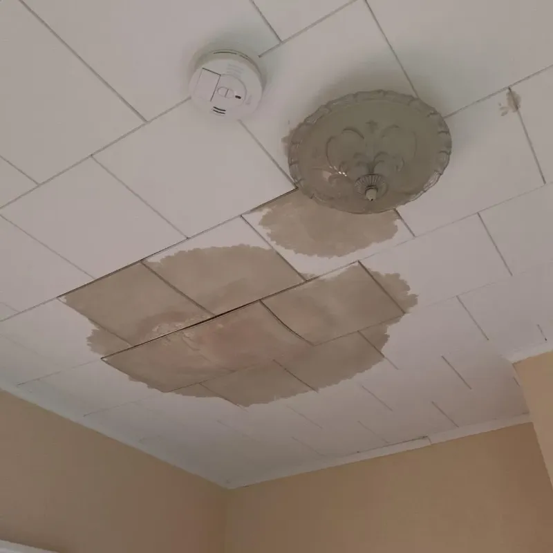 Ceiling Water Damage Repair in South Lebanon, OR