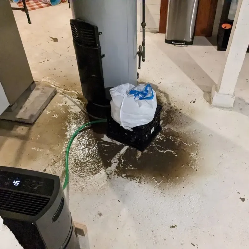 Sewage Backup Cleanup Service in South Lebanon, OR